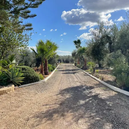 El Paraiso Del Olivar Casa de Férias Bollullos de la Mitacion