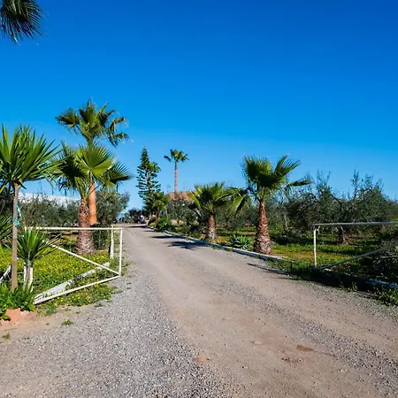 El Paraiso Del Olivar * Bollullos de la Mitacion