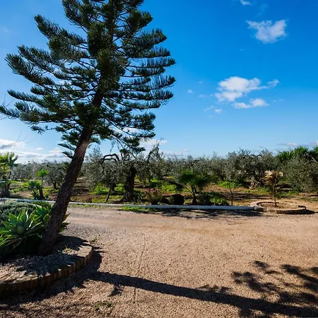 El Paraiso Del Olivar