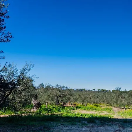 El Paraiso Del Olivar *